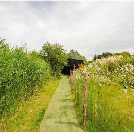 Reeds Retreat Villa Ashford  Eksteriør billede